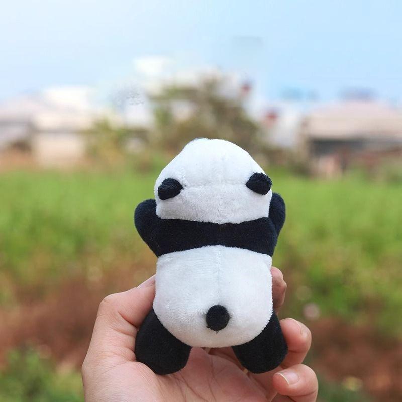 Panda-Cartoon-Anhänger Fahrrad – Mountain Biking Gifts Bewertung und Preis