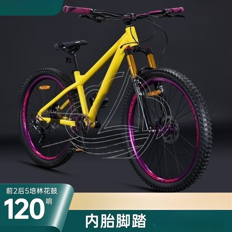 12-Gang Aluminium-Legierung Mo – Mountain Biking Jumps Bewertung und Preis