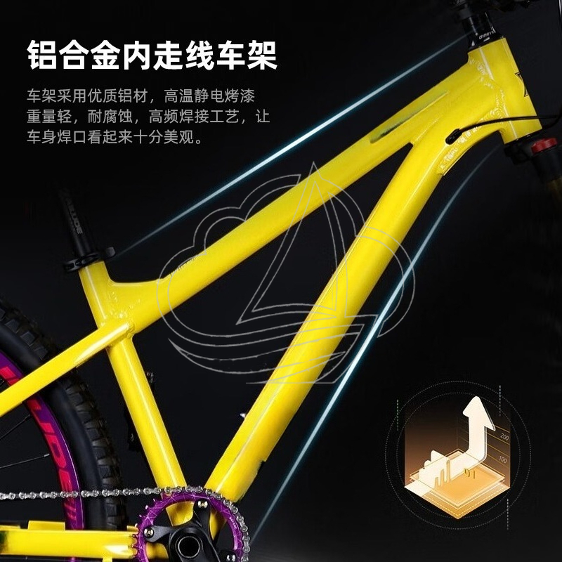 12-Gang Aluminium-Legierung Mo – Mountain Biking Jumps Bewertung und Preis